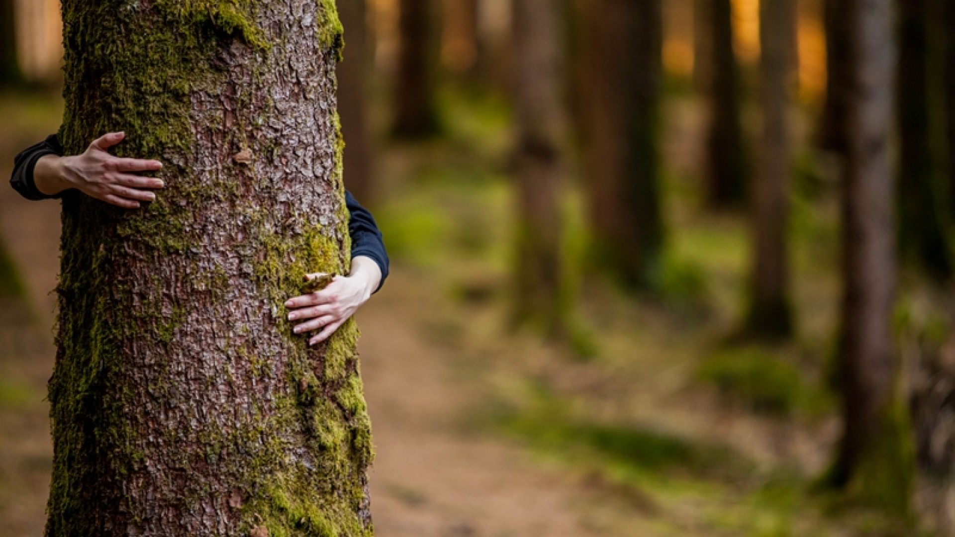 x 0 0 0 14111199 800